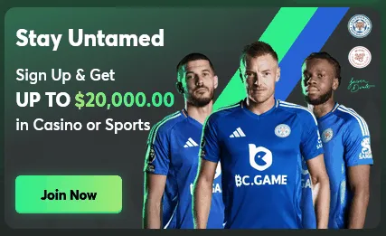 BC Game Casino and Sports India